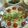 うっかりフジコさん's cooksnap of when they made 鮭のマヨネーズ焼き♪.