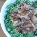 BOBUWO's cooksnap of when they made 簡単！カイワレ大根と豚肉のおかず.
