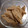 えみりんたん's cooksnap of when they made ごぼうのごまマヨサラダ.