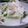たんぽぽしぃ's cooksnap of when they made 簡単で美味しいカブの胡麻マヨサラダ.