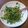 ゆたぱんつ's cooksnap of when they made 豆苗とベーコンの炒め物.