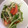 ゆきちゃんのほっぺ's cooksnap of when they made しらすとトマトとしゃきしゃき野菜のサラダ.
