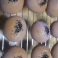花びら雪華's cooksnap of when they made よもぎあんぱん.