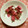 ♪nano♪'s cooksnap of when they made 我が家の八重桜（関山）の塩漬け♪.