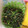 ym0212's cooksnap of when they made ほうれん草のごま和え.