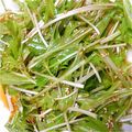 みどりまるちゃん's cooksnap of when they made 水菜のチョレギサラダ風.