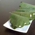 まま's cooksnap of when they made こどもの日に♪かしわ餅.