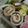 ニャンた's cooksnap of when they made 竹輪の海苔べーくるくる.