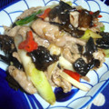 mai-mai's cooksnap of when they made 豚と冬葱の炒めもの.