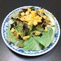 あざらしの赤ちゃん's cooksnap of when they made タイニーシュシュ（白菜）のサラダ☆.