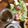 よちりん's cooksnap of when they made ☆振るだけ☆新玉ねぎの和風ドレッシング.