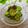 まろんかふぇ's cooksnap of when they made 塩昆布で簡単浅漬け♪.