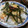 mamimuwa's cooksnap of when they made 簡単☆ちらし寿司.