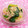 シャンプーハット's cooksnap of when they made アジア風★小松菜のあえ物.