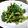 くまやっこ's cooksnap of when they made *三つ葉としらすの海苔辛子和え*.
