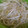 アスカチャチャ's cooksnap of when they made 使いかけもやしの保存.