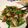 あべまっこ's cooksnap of when they made 初夏に食べたい*きぬさやとキャベツ炒め.