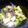 あのねゆきねぇ's cooksnap of when they made グリンピースと蒟蒻のやさしい煮物☆.