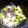 あのねゆきねぇ's cooksnap of when they made グリンピースと蒟蒻のやさしい煮物☆.
