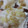honey19's cooksnap of when they made 卵無し！お手軽♪簡単蒸しパン.