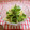 なたじか's cooksnap of when they made 香菜ともやしの中華風甘酢和え.