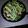 ポールｊ's cooksnap of when they made * トマトとレタスのタコライス.
