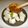 FUKINO's cooksnap of when they made 簡単!!里芋とウマウマ山椒味噌.