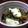 lmmy's cooksnap of when they made 祖母から母、そして息子へ☆最強の麻婆豆腐.