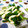 ともまき０３１３'s cooksnap of when they made うまうまマヨほうれん草.