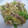suisui_sue's cooksnap of when they made 豚肉とキャベツの中華炒め.