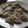 Explore34's cooksnap of when they made レンジで簡単！塩麹でしっとり蒸し鶏☆.