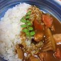 もなか☆★'s cooksnap of when they made たけのこde和風カレー☆.