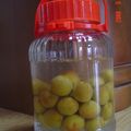 apple姫's cooksnap of when they made 自家製梅酒.