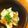 luncheon's cooksnap of when they made サトイモのさっぱり梅サラダ.