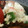 めかにか's cooksnap of when they made 絹さやで白和え.