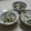 Cookingmam's cooksnap of when they made 昆布の旨味☆ゴーヤのごまマヨ和え♫.
