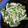 nayunasau's cooksnap of when they made 簡単！菜の花と新玉ねぎのツナマヨ和え.
