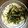 ぽてらんど's cooksnap of when they made プレ農家めし◆超簡単！自家製手打ちうどん.