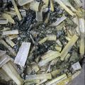 kyokoha's cooksnap of when they made 小松菜と豚バラ肉の塩麹炒め.