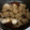 柴犬のお顔☆'s cooksnap of when they made ぶりの白子の煮付け.