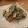ぼのぼのぼのち's cooksnap of when they made ゴーヤとツナの苦くないサラダ♫.