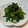 バシ's cooksnap of when they made 五分で完成！基本のほうれん草の胡麻和え.
