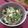 まろんかふぇ's cooksnap of when they made *・｡母直伝*･゜せりのまぜ御飯.