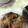 onion81's cooksnap of when they made 豆苗ともやしと舞茸炒め.