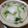 ぴかあか's cooksnap of when they made ♪かぶの甘みを生かして～浅い甘酢漬け～♪.