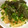 kyokoha's cooksnap of when they made たらことうにの和風スパゲティ.