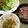 kemeta's cooksnap of when they made チシャ菜で巻き巻き～♪.