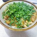 ヨコヤマ's cooksnap of when they made 鴨ネギカレーうどん.