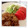 ローズ☆ドバイ's cooksnap of when they made 絶品！我が家の定番生姜焼き.