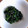 ダブルボランチ's cooksnap of when they made ほうれん草の胡麻和え.